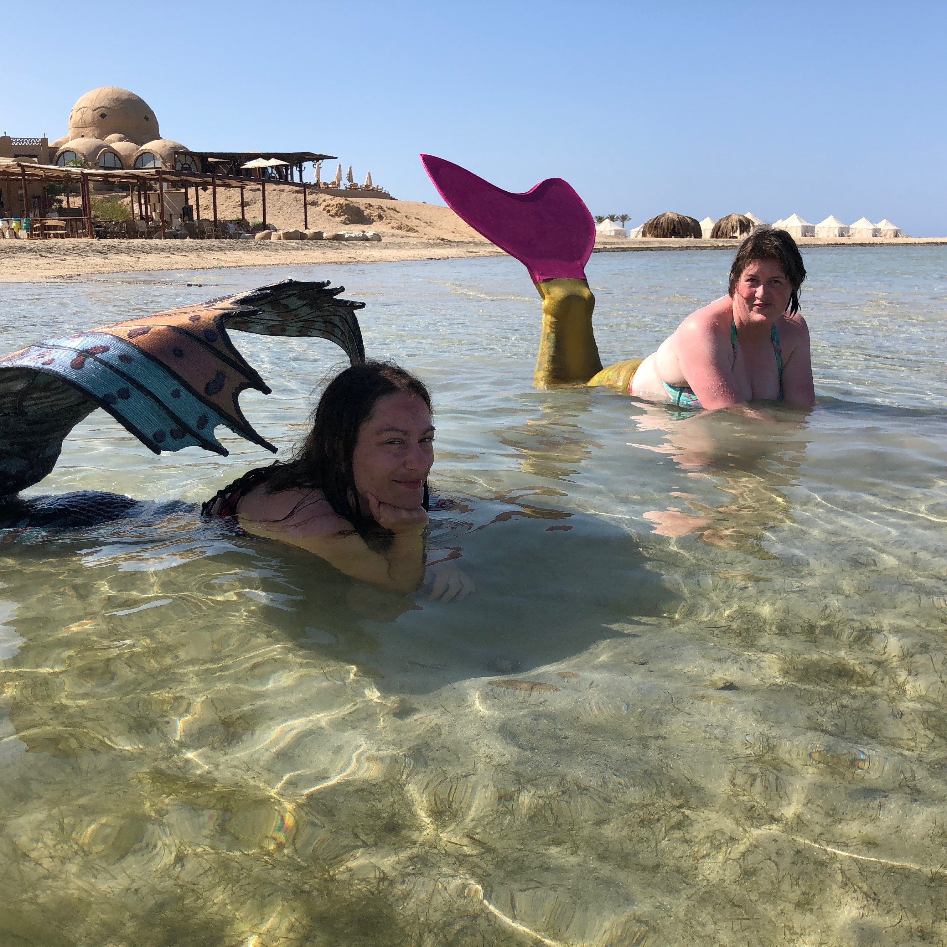 Play and pose in the shallows of the Red Sea in Egypt