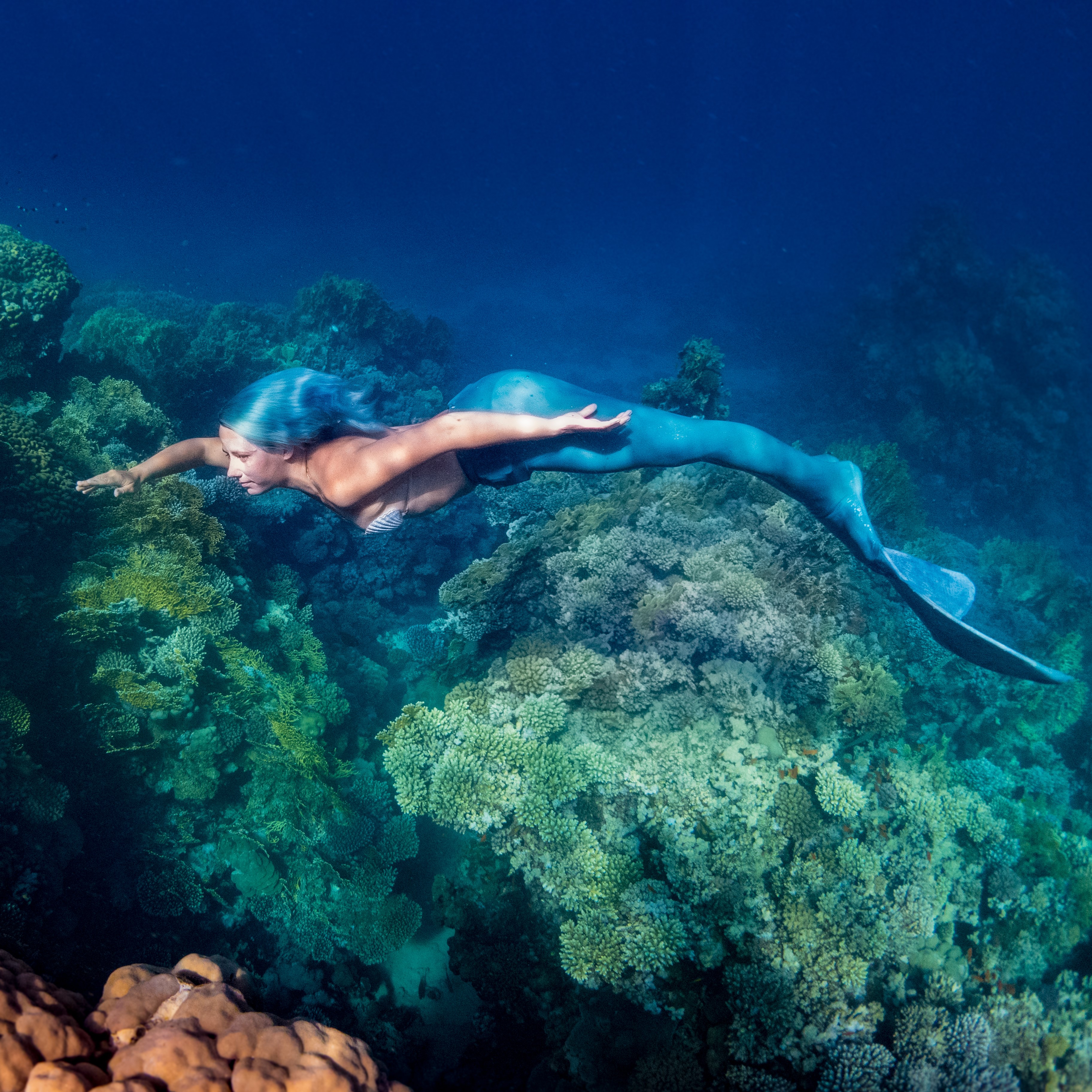 Mer on the Marsa Shagra House Reef